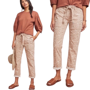 NWT Anthropologie the wanderer size 27 petite belted straight leg utility pants